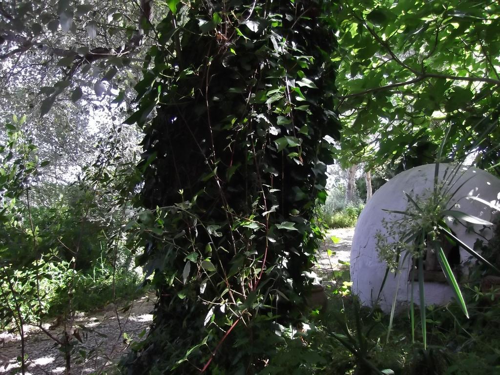 Casa Montecote Eco Resort Vejer de la Frontera Bagian luar foto